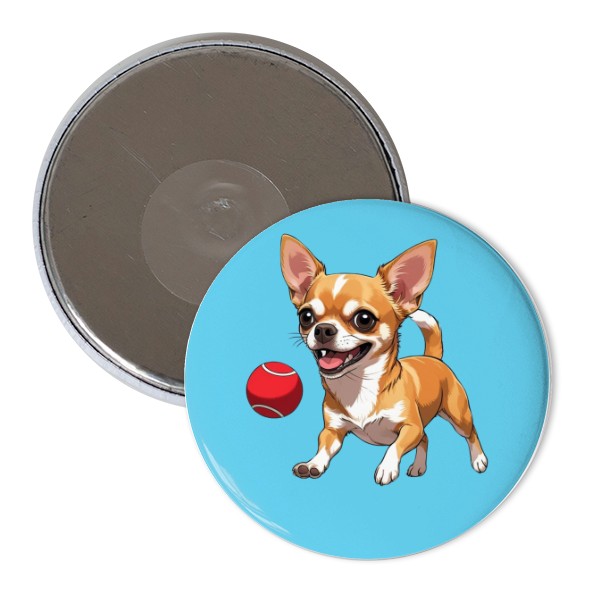 Čivava s míčkem 20