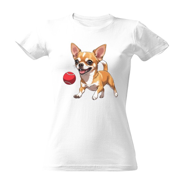 Čivava s míčkem 23